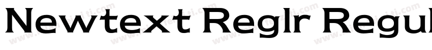 Newtext Reglr Regular字体转换